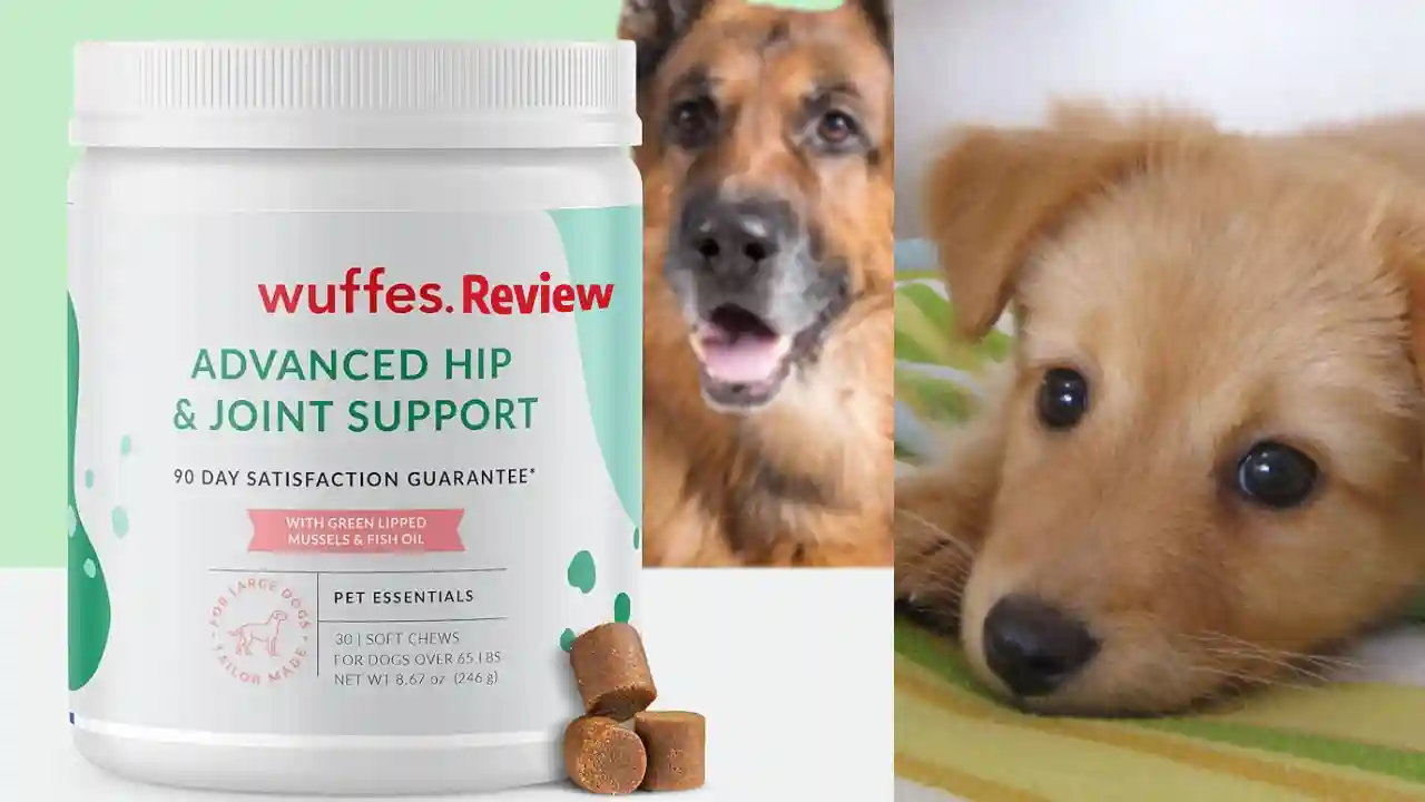 wuffes reviews